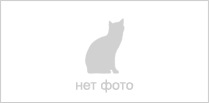 Кровать "Бриз-3", 80х190, ясень светлый, лайм, узор квадрат, бортик слева